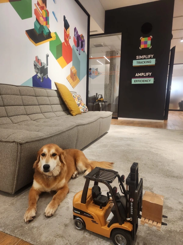 zimark-office-dog