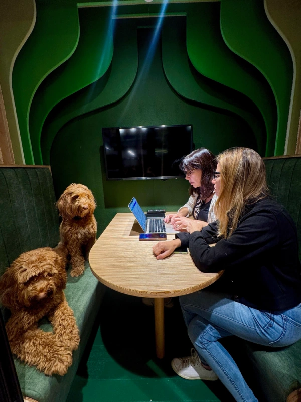 zimark-working-dogs
